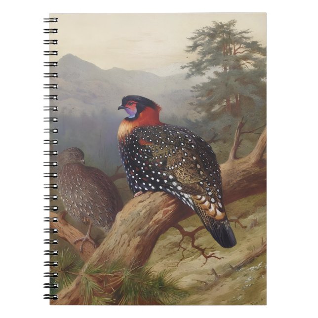 Cuaderno Tragopan occidental, Ilustraciones de aves (Frente)