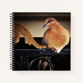 Cuaderno Tranquilidad