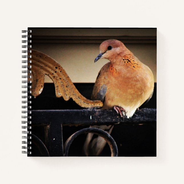 Cuaderno Tranquilidad (Anverso)