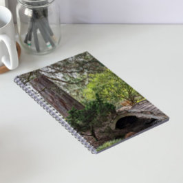 Cuaderno Tranquilo Jardín Botánico Japonés