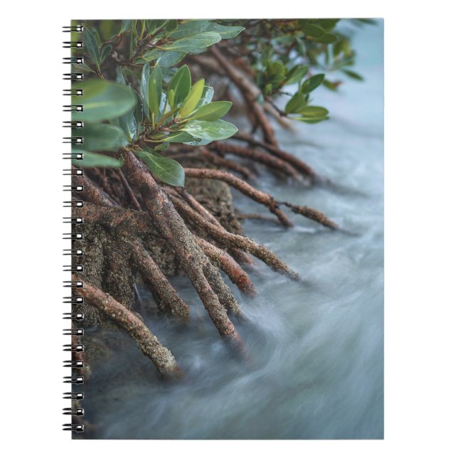 Cuaderno Tranquilo Mangrove Roots Ocean Notebook (Frente)