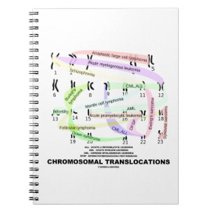 Cuaderno Translocaciones cromosómicas (Karyograma)