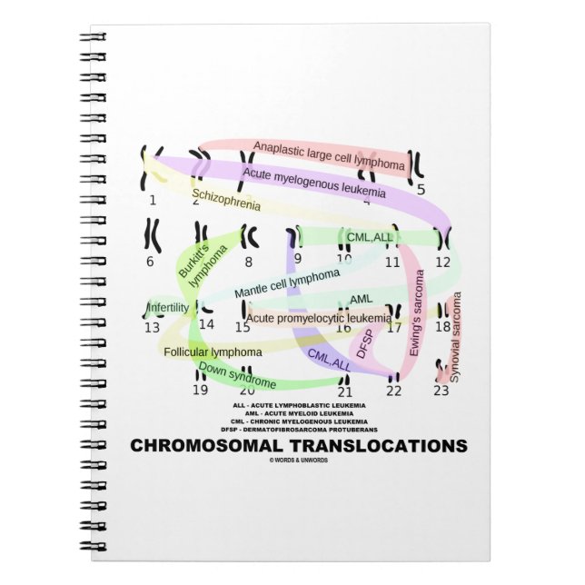 Cuaderno Translocaciones cromosómicas (Karyograma) (Frente)