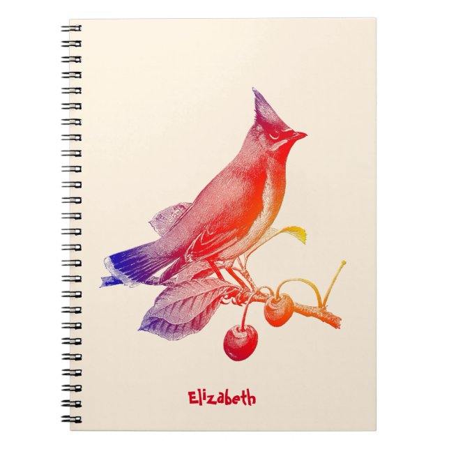 Cuaderno transparente del pájaro del Waxwing de (Frente)