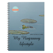 Traslado de rana verde y azul a la tercera edad