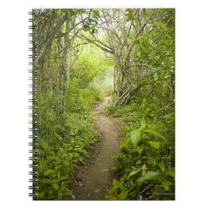 Cuaderno Trayectoria a través del bosque
