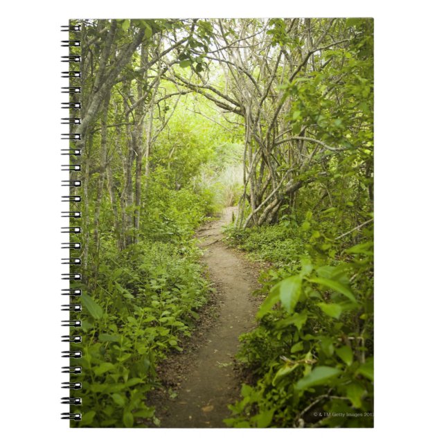 Cuaderno Trayectoria a través del bosque (Frente)