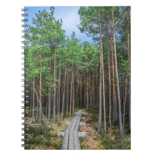 Cuaderno Trayectoria de madera en bosque de pinos