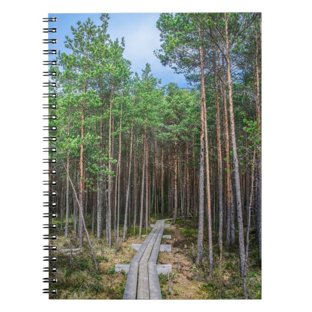 Cuaderno Trayectoria de madera en bosque de pinos (Frente)