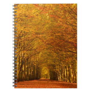 Cuaderno Trayectoria que camina a través del bosque en