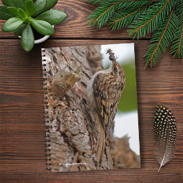 Cuaderno Treecreeper estadounidense con error