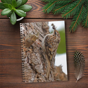 Cuaderno Treecreeper estadounidense con error