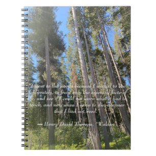 Cuaderno Trees Forest Woods Thoreau