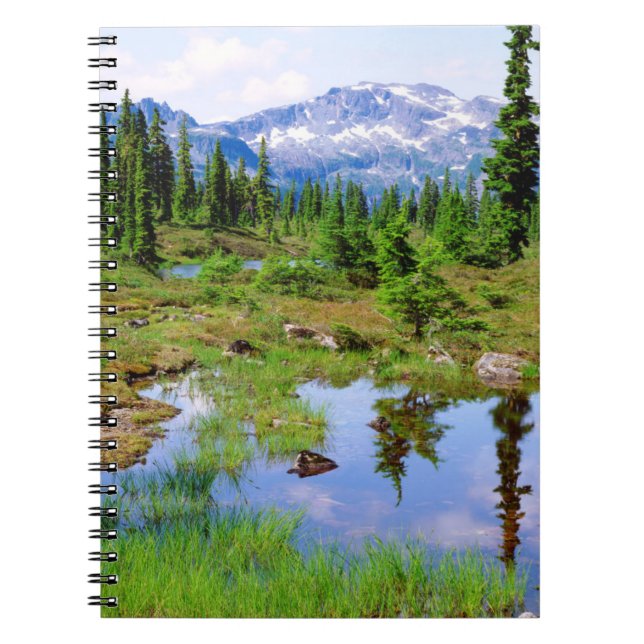 Cuaderno Tren en el interior de la isla de Vancouver (Frente)