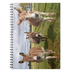 Cuaderno Tres burros