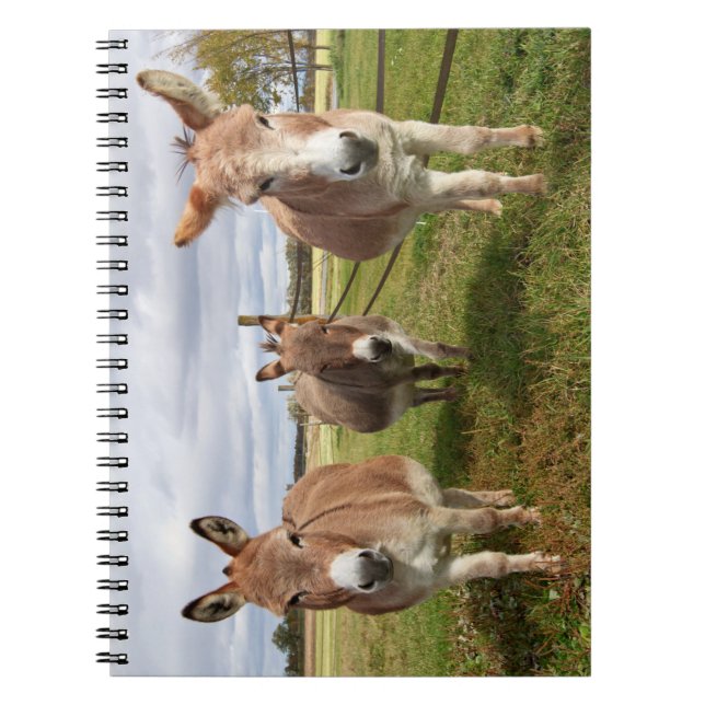 Cuaderno Tres burros (Frente)