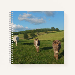 Cuaderno Tres burros en una foto de campo