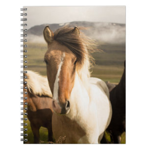 CUADERNO TRES CABALLOS DE COLOR ASORTADO CORRIENDO ALEJADOS