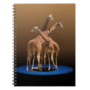 CUADERNO TRES JIRAFAS