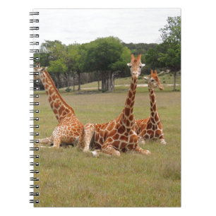 Cuaderno Tres jirafas en la cuenca de los fósiles