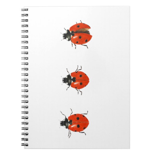 Cuaderno Tres mariquitas 2013 (Frente)