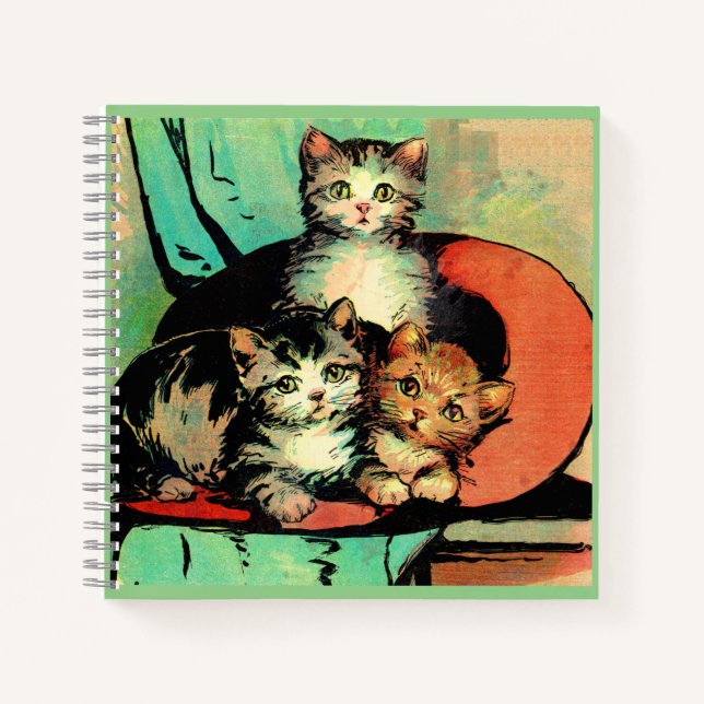 Cuaderno tres pequeños gatitos (Anverso)