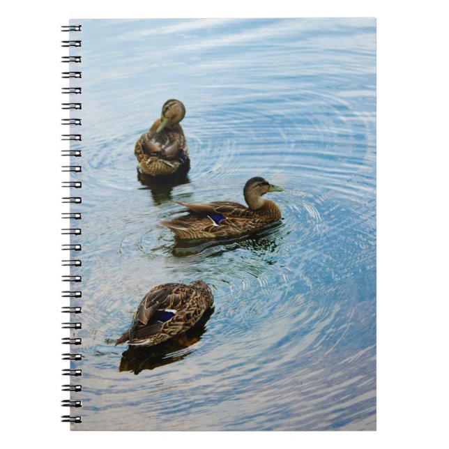 Cuaderno Tres portátiles (Frente)