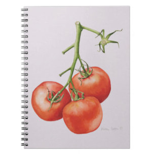 Cuaderno Tres tomates en la vid 1997
