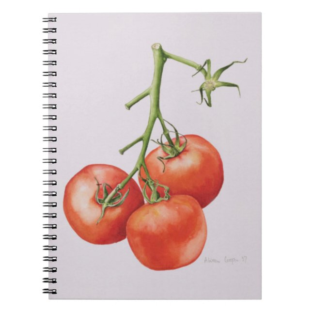 Cuaderno Tres tomates en la vid 1997 (Frente)