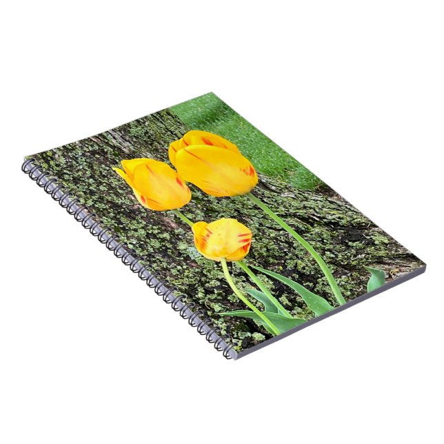 Cuaderno Tres tulipanes amarillos / espiral (Lado Derecho)