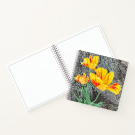 Cuaderno Tres Tulipanes Amarillos Secuencia / Esbozo