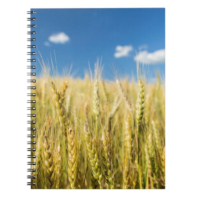 Cuaderno Trigo de Kansas (Frente)