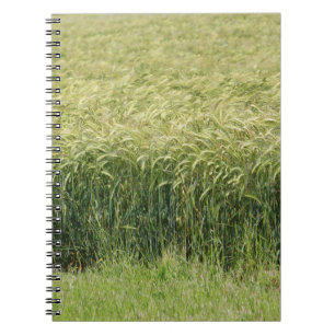 Cuaderno Trigo - ¡Sabroso!