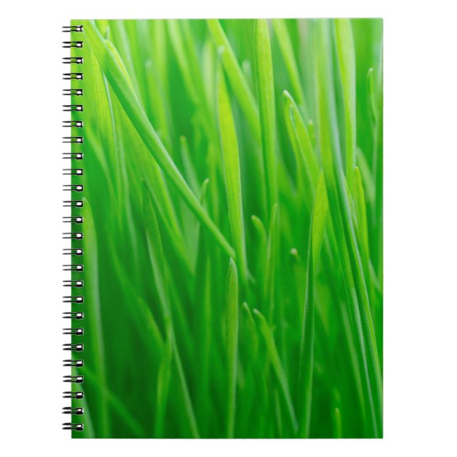 Cuaderno Trigo verde vibrante fresco (Frente)