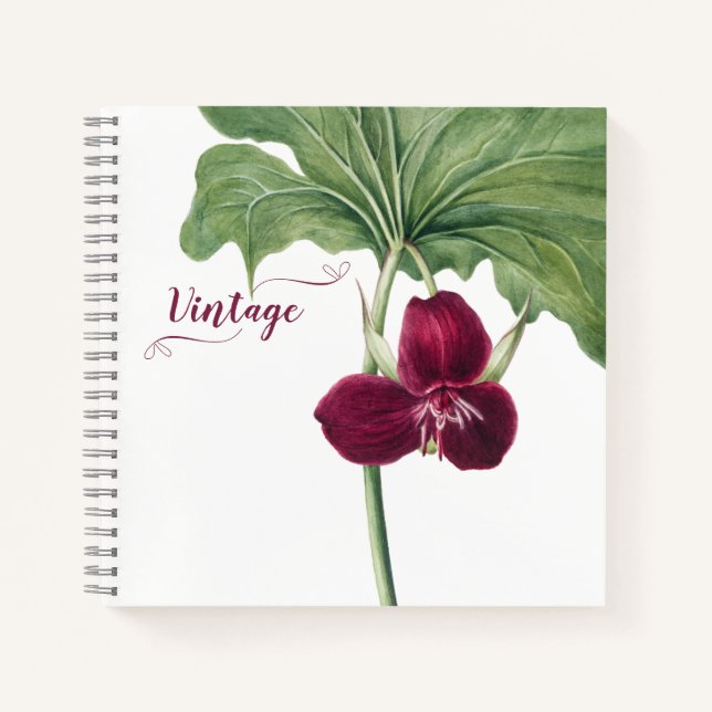 Cuaderno Trillium Botanical (Anverso)
