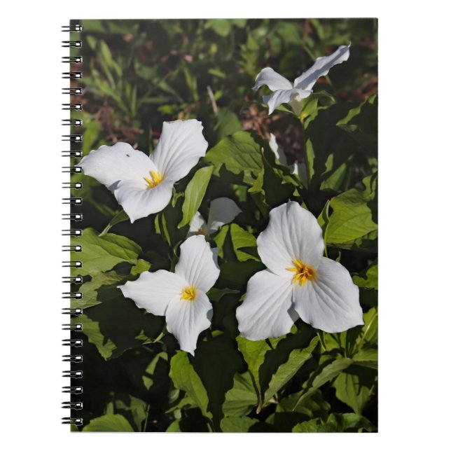 Cuaderno Trillium grandiflorum, la península superior de Mi (Frente)