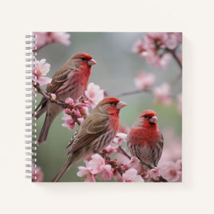 Cuaderno "Trío Carmesí: Pinzones Rojos entre Flores Rosadas