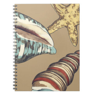 Cuaderno Trío de Shell en Khaki