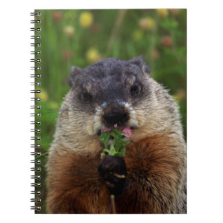 Cuaderno Trituración de primavera