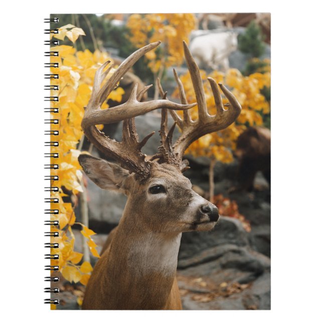 Cuaderno Trophy Deer (Frente)