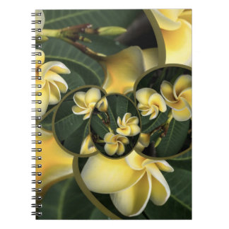 Cuaderno tropical de la página del diseño 80 del