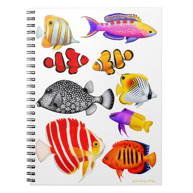 Cuaderno tropical de los pescados del filón del (Frente)