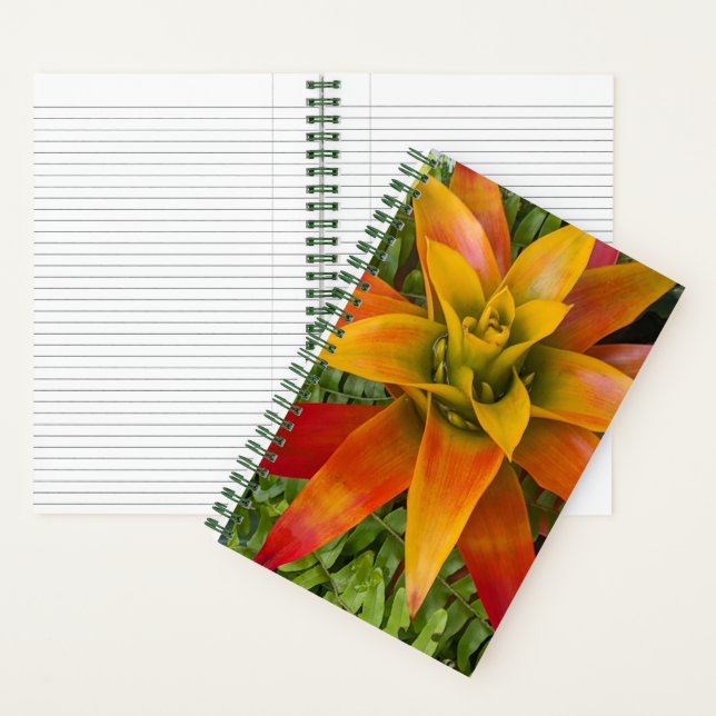 Cuaderno Tropical Guzmania Plant Floral (Interior)