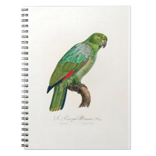 Cuaderno tropical macaw parrot