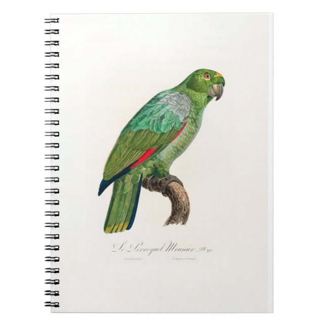 Cuaderno tropical macaw parrot (Frente)