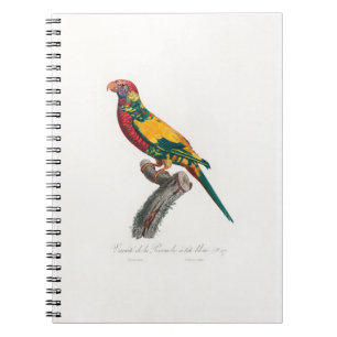 Cuaderno tropical macaw parrot