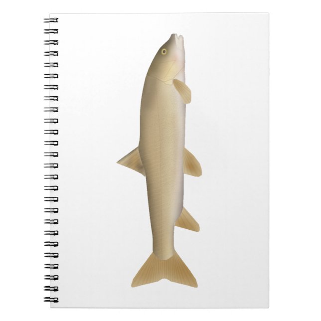 Cuaderno Trucha de nieve común (Frente)