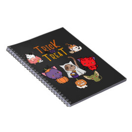 Cuaderno Truco o tratamiento