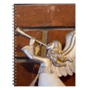 Cuaderno Truco plateado I