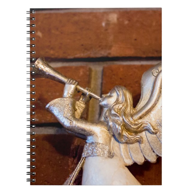 Cuaderno Truco plateado I (Frente)